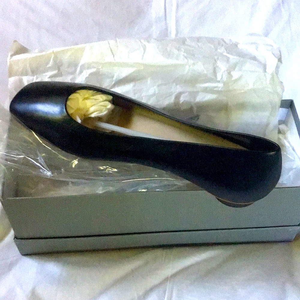Everlane The 90's Square Toe Flat-Size 10 Black, New, Never Worn, Original Box